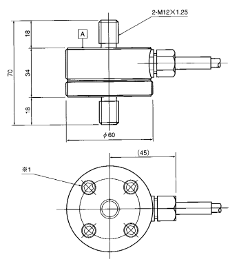 SHOWA_RTD Appearance Dimensions