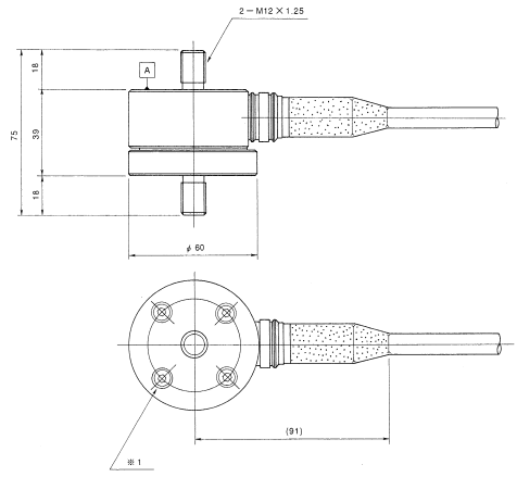 SHOWA_RTD-UA Appearance Dimensions