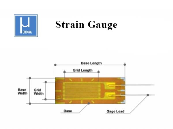 Strain Gauge